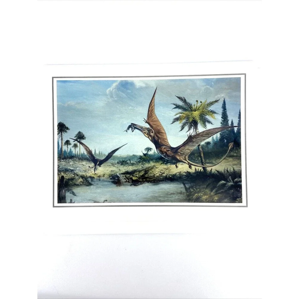 Lot of 8 Prehistoric Dinosaur Fine Art Notecards with Envelopes Josef Moravec